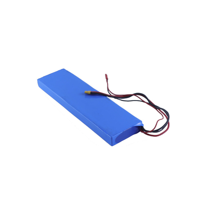 BMS 24 V Lithium-Ionen-Akku für Elektroroller-Akkupack 36 V 6,6 Ah